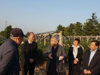 临沂市委统战部邀请济南大学徐会连博士一行来临沂考察