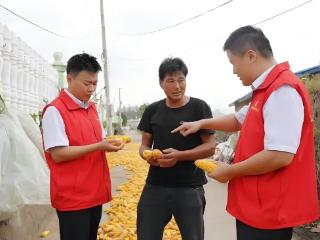 临沭农商银行全链条保障秋粮收储