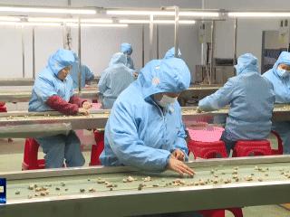 冲刺四季度 打好收官战丨湖北郧康食品：拓展客户增订单 新产线投运提产能