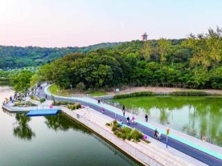 龙王山步道改造完工