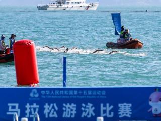 全运会马拉松游泳开赛