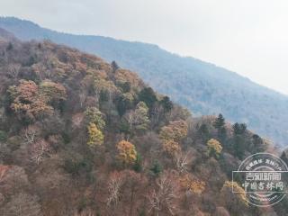 聚焦G334｜吉林第一高峰藏不住了！