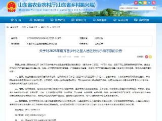 点赞！泰安高新区山东芝人堂药业陶磊荣获“齐鲁乡村之星”