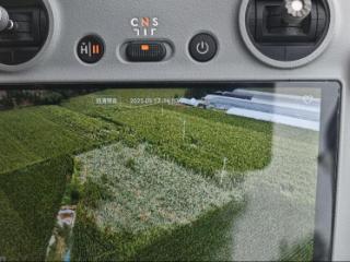 阳光财险全链条发力 护航秋粮“抢收战”