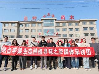 小草沟苗木：40年育“芯”，筑牢烟台苹果产业根基