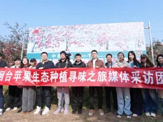 寻味烟台苹果首站探访栖霞中惠农业：“雪苹果”背后的生态种植与科技坚守