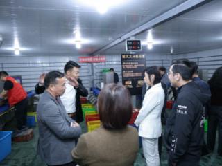 “蟹太太”以全链创新引领大闸蟹消费升级