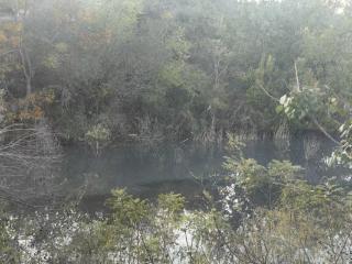 民生帮办|烟台栖霞松山养猪场山上挖坑排污，下游200户居民质疑用水安全