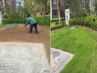 从“投诉高地”到“幸福家园”：城市之光小区治理蝶变记