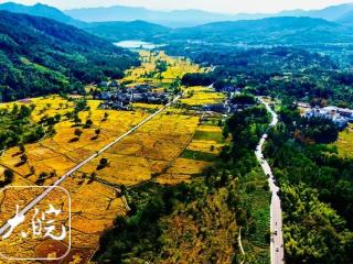 黄山市世界遗产旅游风景道：一路通 百业兴