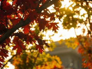 走，到郑州航空港“捡秋”去！丨港视角