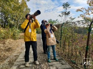 第十个安徽湿地保护日，观鸟爱好者追踪迁徙的候鸟