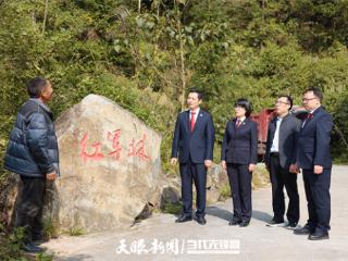 “十八块大洋”孕育的“红军林”迎来全省首份跨县联动保护令