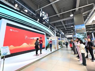 打卡进博会丨“河北好物”连连看