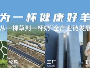 从“一棵草到一杯奶”铸就盛健羊乳的全产业链领军之路
