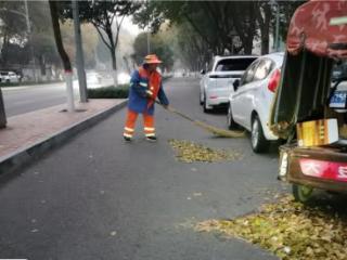 廊坊开发区公用事业管理局多举措做好秋冬交替期间环境提升工作