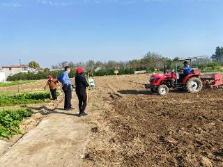 泰山区徐家楼街道夏家庄村：12亩撂荒地变身麦田 复耕筑牢粮安屏障