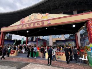 明玛同心振消费