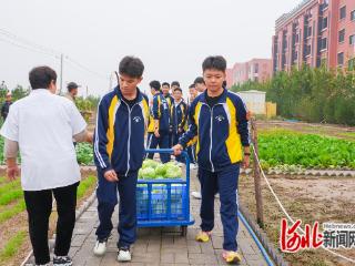 邢台和阳中学开展田间课堂实践活动