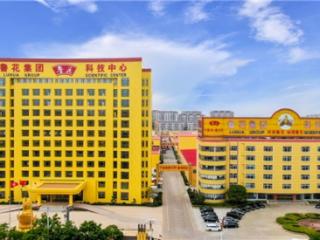 鲁花集团5S纯物理压榨技术如何成就中国花生油领先地位的