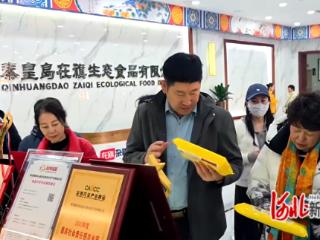 青龙：敬老研学暖了银发心