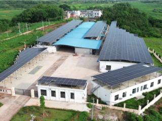 光伏烤烟双擎驱动 红棉力量绘就乡村振兴答卷