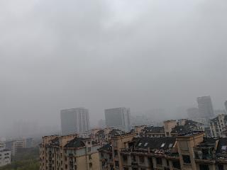 雾锁江淮 安徽29站点发布大雾预警