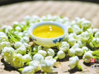 有声荐读｜冰心钟爱福州茉莉花茶