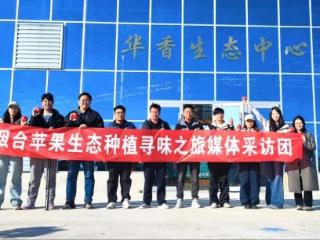 华香果业：探秘华香果业如何“链”就香甜事业