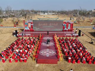 缘起鹊华 爱在起步 济南起步区青年职工集体婚礼浪漫启幕