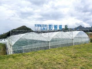 为贵州辣子鸡寻找“最佳拍档”