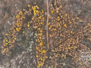 桦甸藏着个“慢生活天堂”！