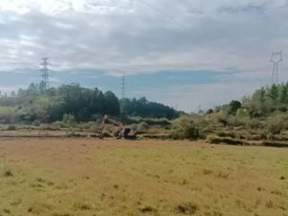 上饶市广信区煌固镇：集中整治盘活闲置荒地 夯实乡村振兴耕基