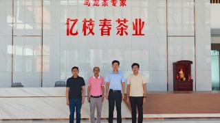 福建安溪祥华乡：招商“热力值”拉满，项目建设蓄足“新动能”