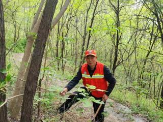 青山作证 林海情深——记枣庄市山亭区抱犊崮林场护林员王洪军