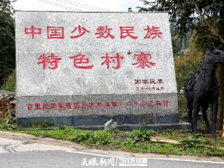 【村史村事·乡愁印迹】百里杜鹃迎丰村：百年古寨文韵厚 农旅融合谱新篇