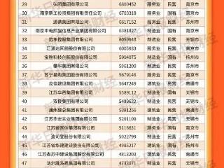 江苏百强企业，常州高新区是他们！