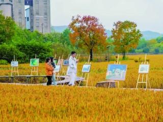桦墅村“稻香印迹”主题活动启幕