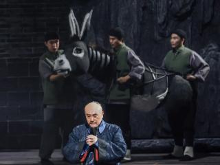 板桥“回家” ——话剧《枝叶关情·郑板桥》即将登陆潍坊