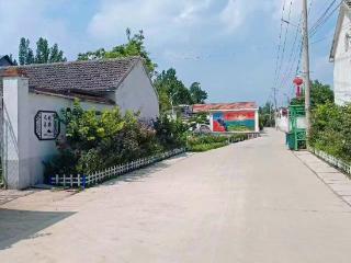 山口镇杨石汶村：民生为本绘新卷 人居环境焕新颜