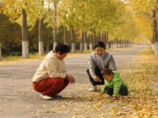 大厂绘就生态锦绣画卷 市民乐享美好生活