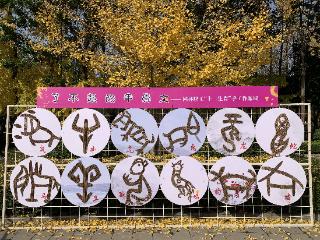 枯枝“撑起”的展览你见过吗？郑州最大银杏林“剪出”木质甲骨文