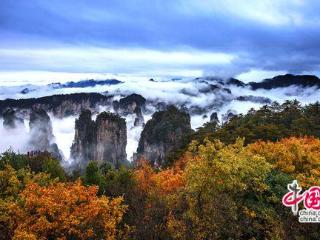 张家界武陵源：层林尽染秋意酣 赴约赏景正当时