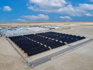 中国石油以绿色实践助力全球气候治理