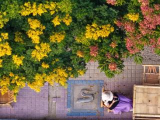 读城 | 福州这份“秋冬限定浪漫”，双11免费派送