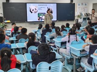 “竹林隐士”大熊猫走进课堂，山师附小萌娃探索成长密码