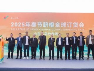 橙香连鲁渝 千里续写“山海情”