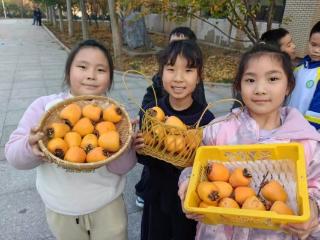 淄博市博山区四十亩地小学开展“果树小管家”采摘文化节