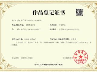 文学作品《权谋通汇》及其简介