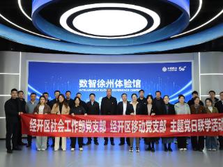 徐州经开区社会工作部党支部开展联学主题党日活动